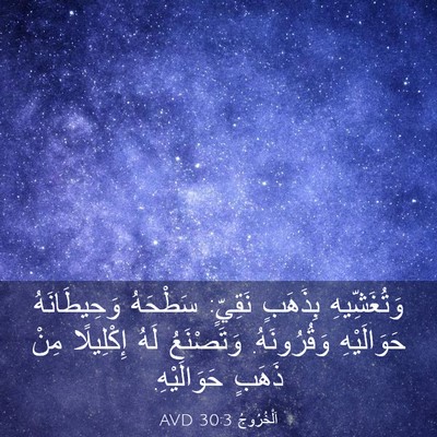 Picture 03 - اَلْخُرُوجُ 30:3 AVD - وَتُغَشِّيهِ بِذَهَبٍ - Bible Verse Picture