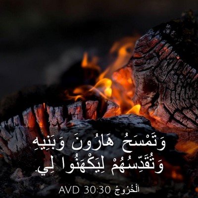 Picture 03 - اَلْخُرُوجُ 30:30 AVD - وَتَمْسَحُ هَارُونَ - Bible Verse Picture