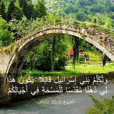 Picture 03 - اَلْخُرُوجُ 30:31 AVD - وَتُكَلِّمُ بَنِي - Bible Verse Picture