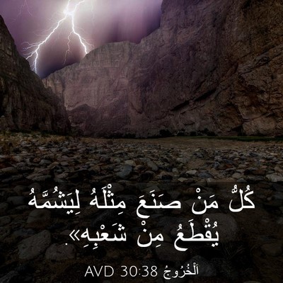 Picture 03 - اَلْخُرُوجُ 30:38 AVD - كُلُّ مَنْ صَنَعَ مِثْلَهُ - Bible Verse Picture