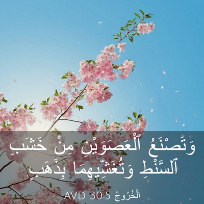 Picture 03 - اَلْخُرُوجُ 30:5 AVD - وَتَصْنَعُ ٱلْعَصَوَيْنِ - Bible Verse Picture