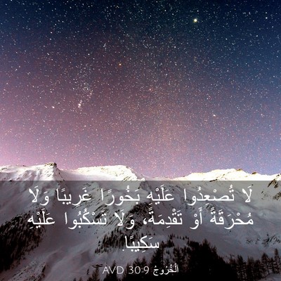 Picture 03 - اَلْخُرُوجُ 30:9 AVD - لَا تُصْعِدُوا عَلَيْهِ - Bible Verse Picture