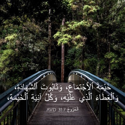 Picture 03 - اَلْخُرُوجُ 31:7 AVD - خَيْمَةَ ٱلِٱجْتِمَاعِ، - Bible Verse Picture