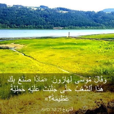 Picture 03 - اَلْخُرُوجُ 32:21 AVD - وَقَالَ مُوسَى لِهَارُونَ: - Bible Verse Picture
