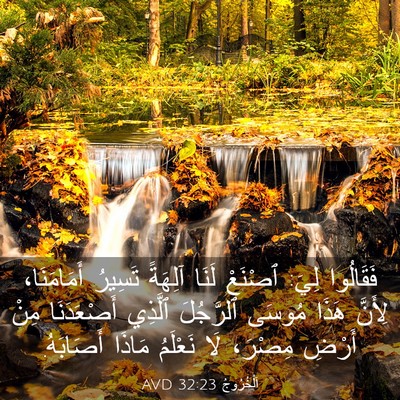 Picture 03 - اَلْخُرُوجُ 32:23 AVD - فَقَالُوا لِيَ: ٱصْنَعْ - Bible Verse Picture