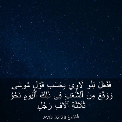 Picture 03 - اَلْخُرُوجُ 32:28 AVD - فَفَعَلَ بَنُو لَاوِي - Bible Verse Picture