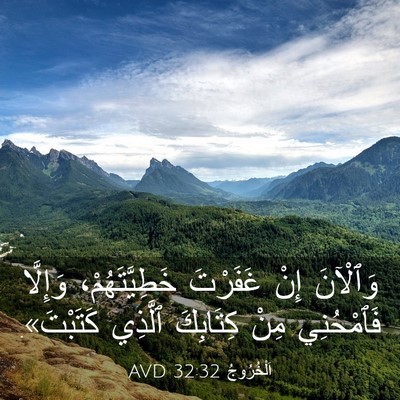 Picture 03 - اَلْخُرُوجُ 32:32 AVD - وَٱلْآنَ إِنْ غَفَرْتَ - Bible Verse Picture