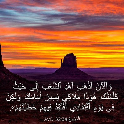Picture 03 - اَلْخُرُوجُ 32:34 AVD - وَٱلْآنَ ٱذْهَبِ ٱهْدِ - Bible Verse Picture