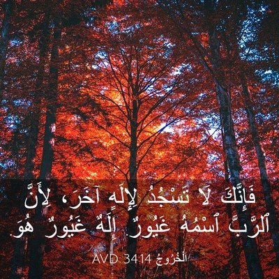 Picture 03 - اَلْخُرُوجُ 34:14 AVD - فَإِنَّكَ لَا تَسْجُدُ - Bible Verse Picture