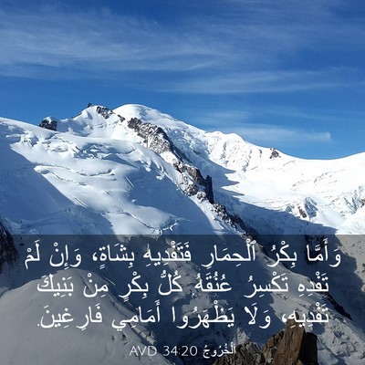 Picture 03 - اَلْخُرُوجُ 34:20 AVD - وَأَمَّا بِكْرُ - Bible Verse Picture