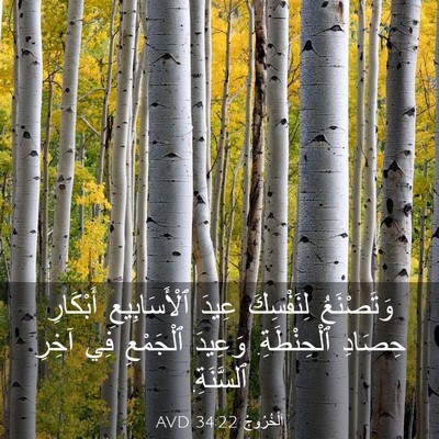 Picture 03 - اَلْخُرُوجُ 34:22 AVD - وَتَصْنَعُ لِنَفْسِكَ - Bible Verse Picture