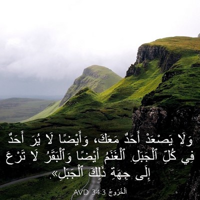 Picture 03 - اَلْخُرُوجُ 34:3 AVD - وَلَا يَصْعَدْ أَحَدٌ - Bible Verse Picture