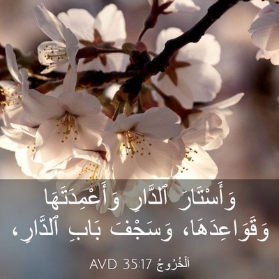 Picture 03 - اَلْخُرُوجُ 35:17 AVD - وَأَسْتَارَ ٱلدَّارِ - Bible Verse Picture