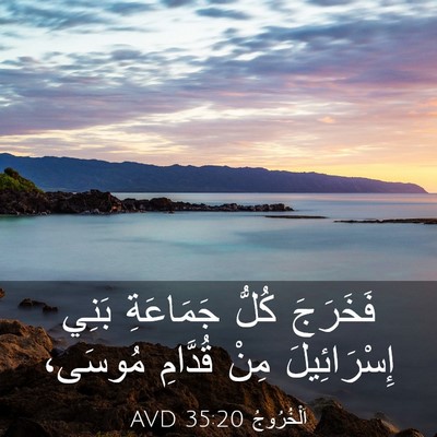Picture 03 - اَلْخُرُوجُ 35:20 AVD - فَخَرَجَ كُلُّ جَمَاعَةِ - Bible Verse Picture