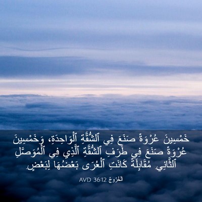 Picture 03 - اَلْخُرُوجُ 36:12 AVD - خَمْسِينَ عُرْوَةً صَنَعَ - Bible Verse Picture