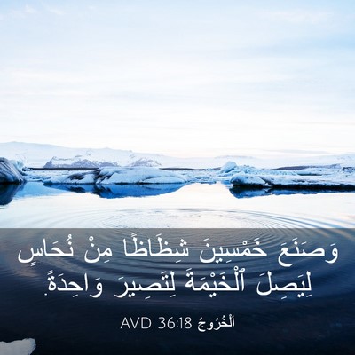 Picture 03 - اَلْخُرُوجُ 36:18 AVD - وَصَنَعَ خَمْسِينَ - Bible Verse Picture