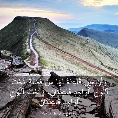 Picture 03 - اَلْخُرُوجُ 36:26 AVD - وَأَرْبَعِينَ قَاعِدَةً - Bible Verse Picture