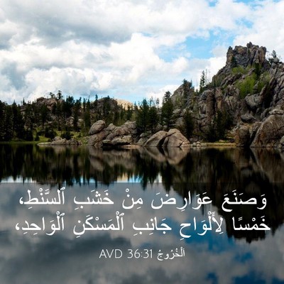 Picture 03 - اَلْخُرُوجُ 36:31 AVD - وَصَنَعَ عَوَارِضَ مِنْ - Bible Verse Picture