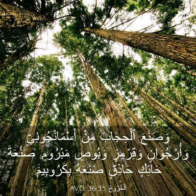 Picture 03 - اَلْخُرُوجُ 36:35 AVD - وَصَنَعَ ٱلْحِجَابَ مِنْ - Bible Verse Picture