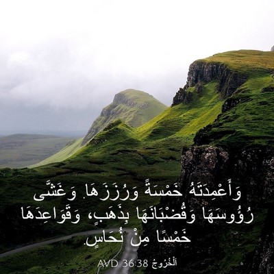 Picture 03 - اَلْخُرُوجُ 36:38 AVD - وَأَعْمِدَتَهُ خَمْسَةً - Bible Verse Picture