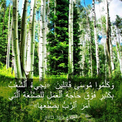 Picture 03 - اَلْخُرُوجُ 36:5 AVD - وَكَلَّمُوا مُوسَى - Bible Verse Picture