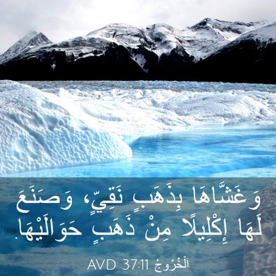 Picture 03 - اَلْخُرُوجُ 37:11 AVD - وَغَشَّاهَا بِذَهَبٍ - Bible Verse Picture
