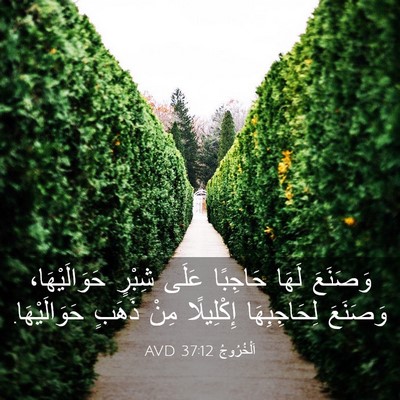 Picture 03 - اَلْخُرُوجُ 37:12 AVD - وَصَنَعَ لَهَا حَاجِبًا - Bible Verse Picture
