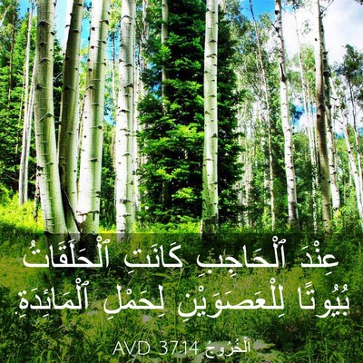 Picture 03 - اَلْخُرُوجُ 37:14 AVD - عِنْدَ ٱلْحَاجِبِ كَانَتِ - Bible Verse Picture