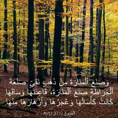 Picture 03 - اَلْخُرُوجُ 37:17 AVD - وَصَنَعَ ٱلْمَنَارَةَ - Bible Verse Picture