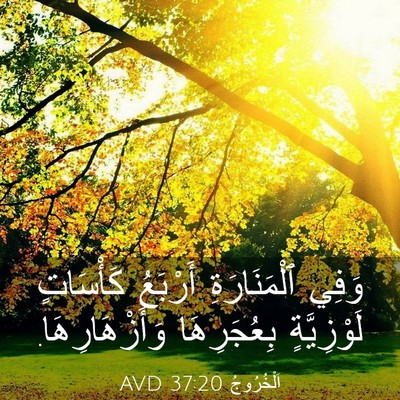 Picture 03 - اَلْخُرُوجُ 37:20 AVD - وَفِي ٱلْمَنَارَةِ - Bible Verse Picture