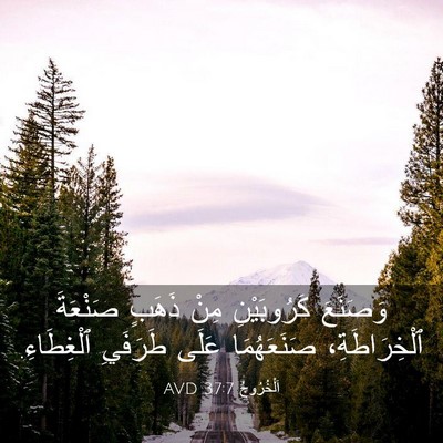 Picture 03 - اَلْخُرُوجُ 37:7 AVD - وَصَنَعَ كَرُوبَيْنِ مِنْ - Bible Verse Picture