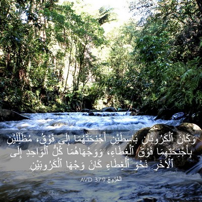 Picture 03 - اَلْخُرُوجُ 37:9 AVD - وَكَانَ ٱلْكَرُوبَانِ - Bible Verse Picture