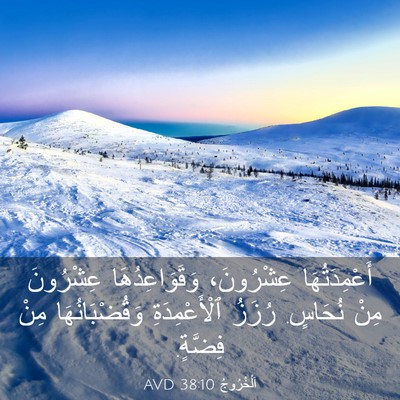 Picture 03 - اَلْخُرُوجُ 38:10 AVD - أَعْمِدَتُهَا عِشْرُونَ، - Bible Verse Picture