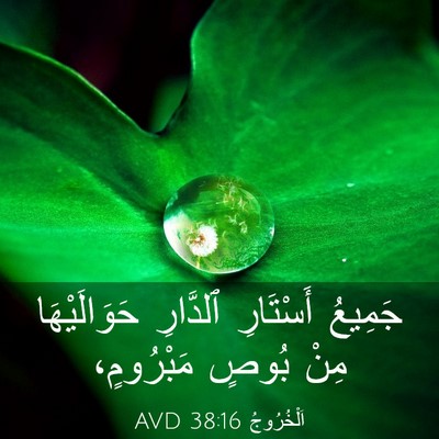 Picture 03 - اَلْخُرُوجُ 38:16 AVD - جَمِيعُ أَسْتَارِ - Bible Verse Picture