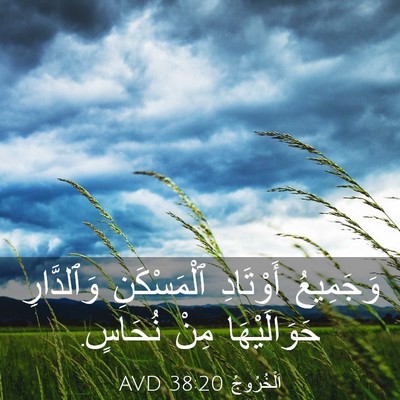 Picture 03 - اَلْخُرُوجُ 38:20 AVD - وَجَمِيعُ أَوْتَادِ - Bible Verse Picture