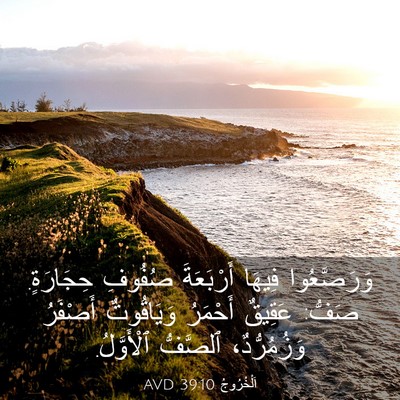 Picture 03 - اَلْخُرُوجُ 39:10 AVD - وَرَصَّعُوا فِيهَا - Bible Verse Picture