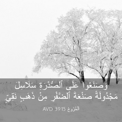 Picture 03 - اَلْخُرُوجُ 39:15 AVD - وَصَنَعُوا عَلَى - Bible Verse Picture