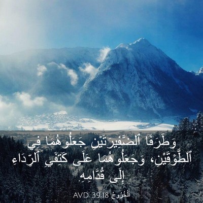 Picture 03 - اَلْخُرُوجُ 39:18 AVD - وَطَرَفَا - Bible Verse Picture