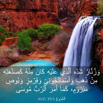 Picture 03 - اَلْخُرُوجُ 39:5 AVD - وَزُنَّارُ شَدِّهِ - Bible Verse Picture