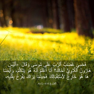 Picture 03 - اَلْخُرُوجُ 4:14 AVD - فَحَمِيَ غَضَبُ ٱلرَّبِّ - Bible Verse Picture
