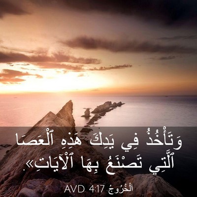 Picture 03 - اَلْخُرُوجُ 4:17 AVD - وَتَأْخُذُ فِي يَدِكَ - Bible Verse Picture