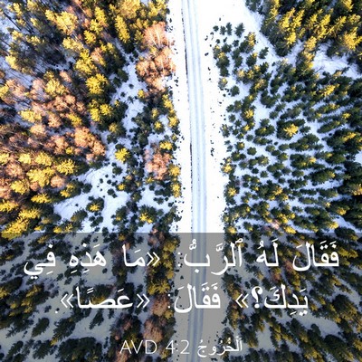 Picture 03 - اَلْخُرُوجُ 4:2 AVD - فَقَالَ لَهُ ٱلرَّبُّ: - Bible Verse Picture