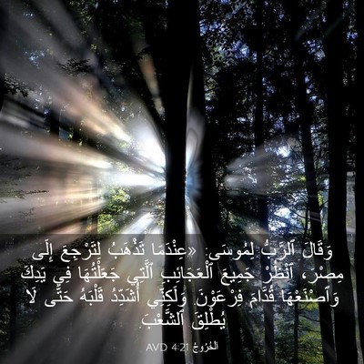 Picture 03 - اَلْخُرُوجُ 4:21 AVD - وَقَالَ ٱلرَّبُّ لِمُوسَى: - Bible Verse Picture