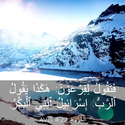 Picture 03 - اَلْخُرُوجُ 4:22 AVD - فَتَقُولُ لِفِرْعَوْنَ: - Bible Verse Picture