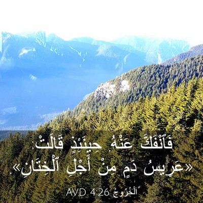 Picture 03 - اَلْخُرُوجُ 4:26 AVD - فَٱنْفَكَّ عَنْهُ. - Bible Verse Picture