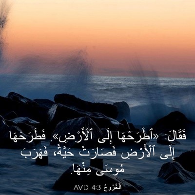 Picture 03 - اَلْخُرُوجُ 4:3 AVD - فَقَالَ: «ٱطْرَحْهَا إِلَى - Bible Verse Picture