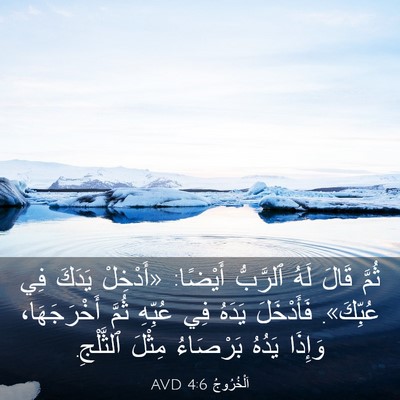 Picture 03 - اَلْخُرُوجُ 4:6 AVD - ثُمَّ قَالَ لَهُ ٱلرَّبُّ - Bible Verse Picture