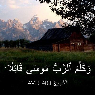 Picture 03 - اَلْخُرُوجُ 40:1 AVD - وَكَلَّمَ ٱلرَّبُّ مُوسَى - Bible Verse Picture