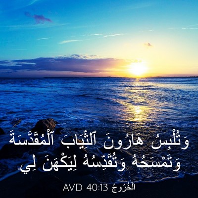 Picture 03 - اَلْخُرُوجُ 40:13 AVD - وَتُلْبِسُ هَارُونَ - Bible Verse Picture