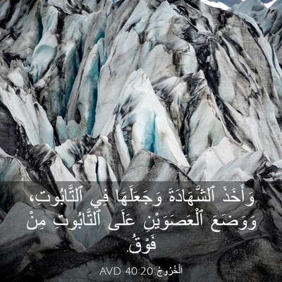 Picture 03 - اَلْخُرُوجُ 40:20 AVD - وَأَخَذَ ٱلشَّهَادَةَ - Bible Verse Picture